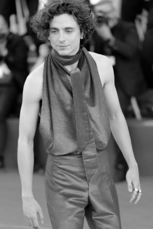 Timothée Chalamet acteur - portraits de célébrités animica - photographie barbara pigazzi - giudecca venise