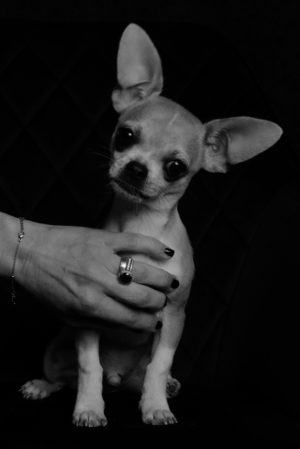 animica-family-portraits-Claudia-Gino-photographer-barbara-pigazzi-venezia-giudecca