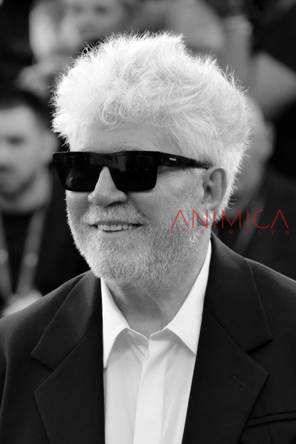 Pedro Almodovar #8 - Venice Film Festival 2024
