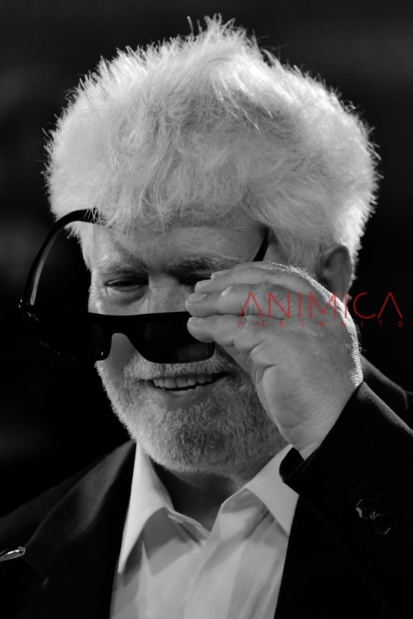 Pedro Almodovar #13 - Venice Film Festival 2024