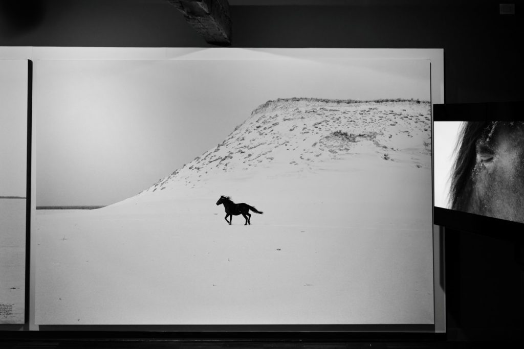 I-AM-WILD-Roberto-Dutesco-in-venice-encounter-with-barbara-pigazzi-photographer