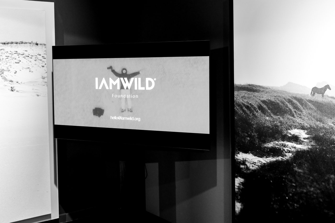 I-AM-WILD-Roberto-Dutesco-in-venice-encounter-with-barbara-pigazzi-photographer