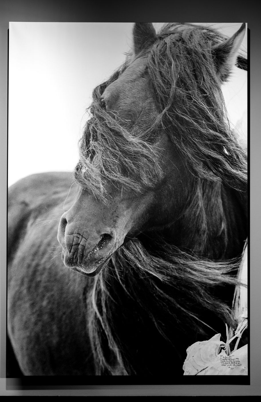 I-AM-WILD-Roberto-Dutesco-in-venice-encounter-with-barbara-pigazzi-photographer