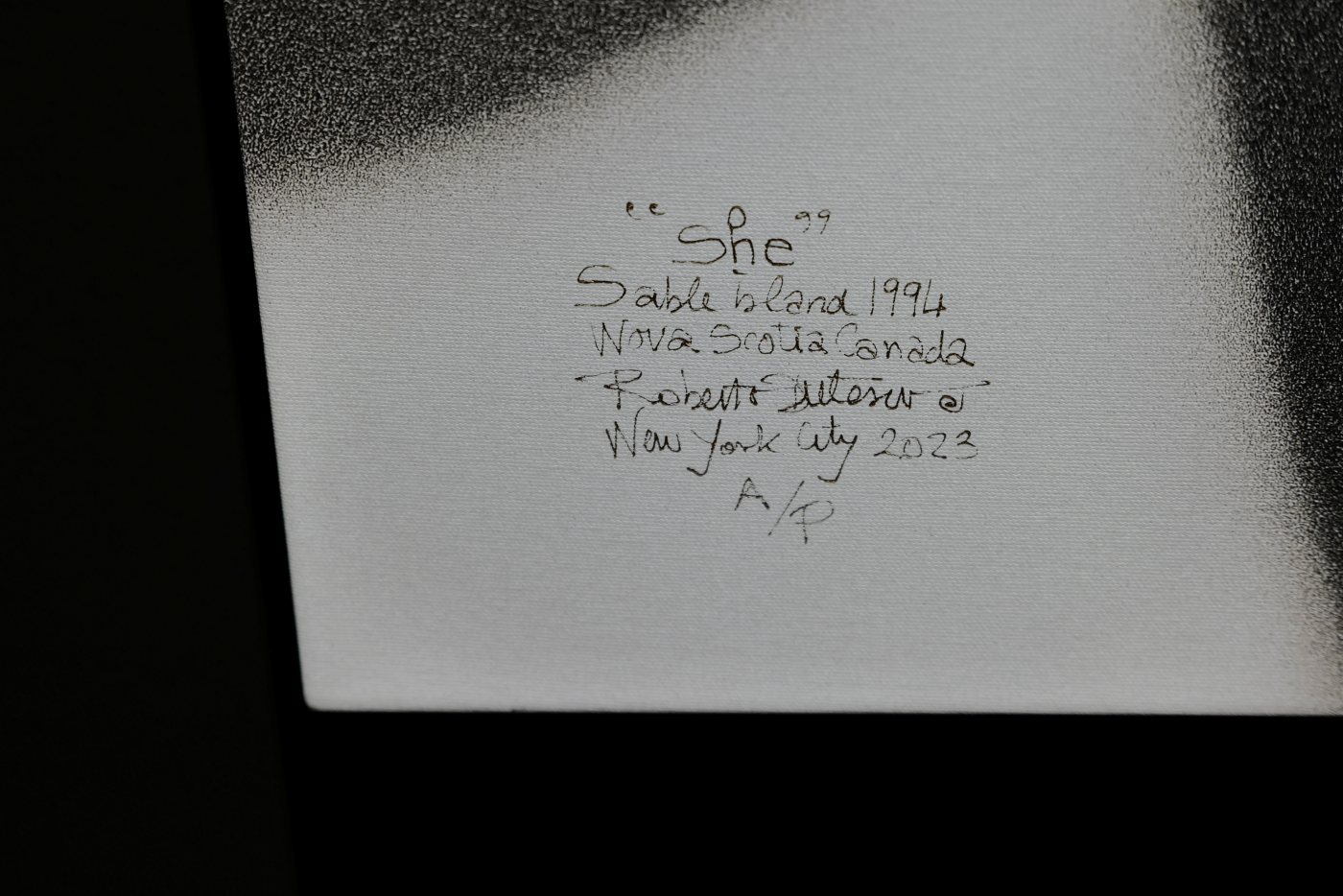 I-AM-WILD-Roberto-Dutesco-in-venice-encounter-with-barbara-pigazzi-photographer