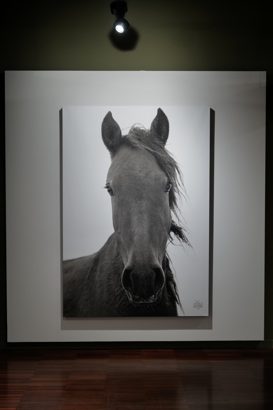 I-AM-WILD-Roberto-Dutesco-in-venice-encounter-with-barbara-pigazzi-photographer