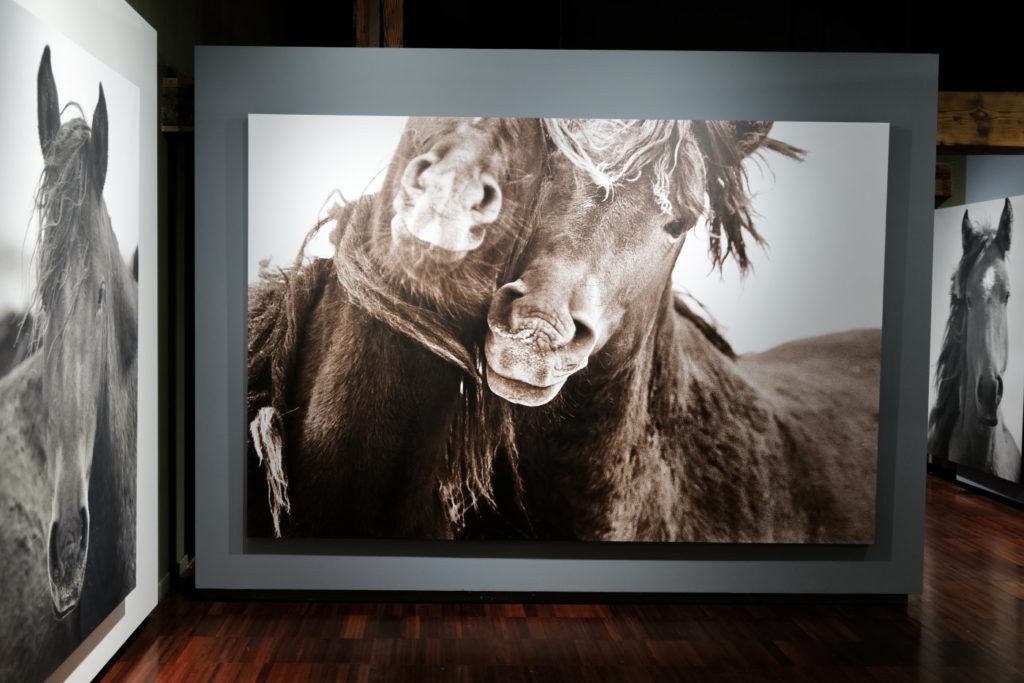 I-AM-WILD-Roberto-Dutesco-in-venice-encounter-with-barbara-pigazzi-photographer