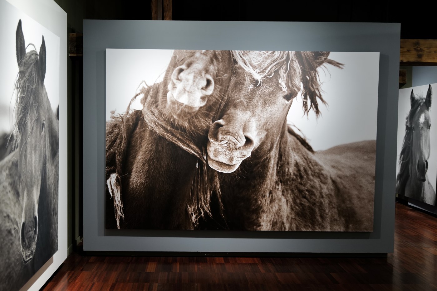 I-AM-WILD-Roberto-Dutesco-in-venice-encounter-with-barbara-pigazzi-photographer