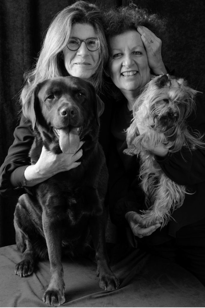 Toffee Labrador - portraits d'animaux - studio animica -barbara pigazzi photo - venise